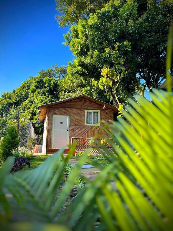 Hotel O Royal Tree Cafe And Resort 데라둔 외부 사진