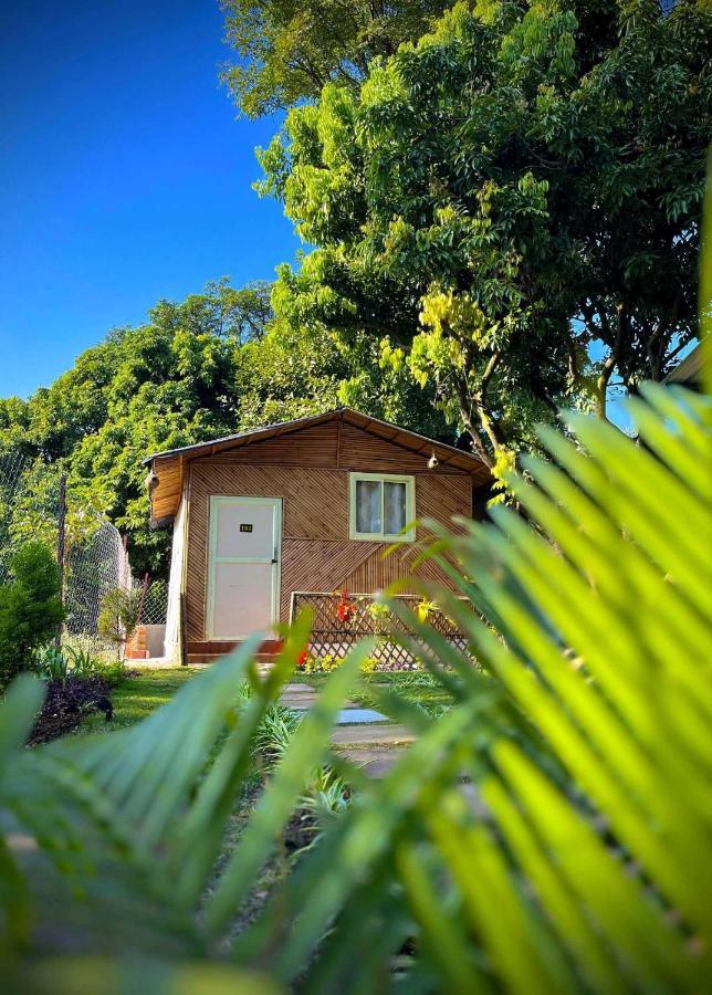 Hotel O Royal Tree Cafe And Resort 데라둔 외부 사진