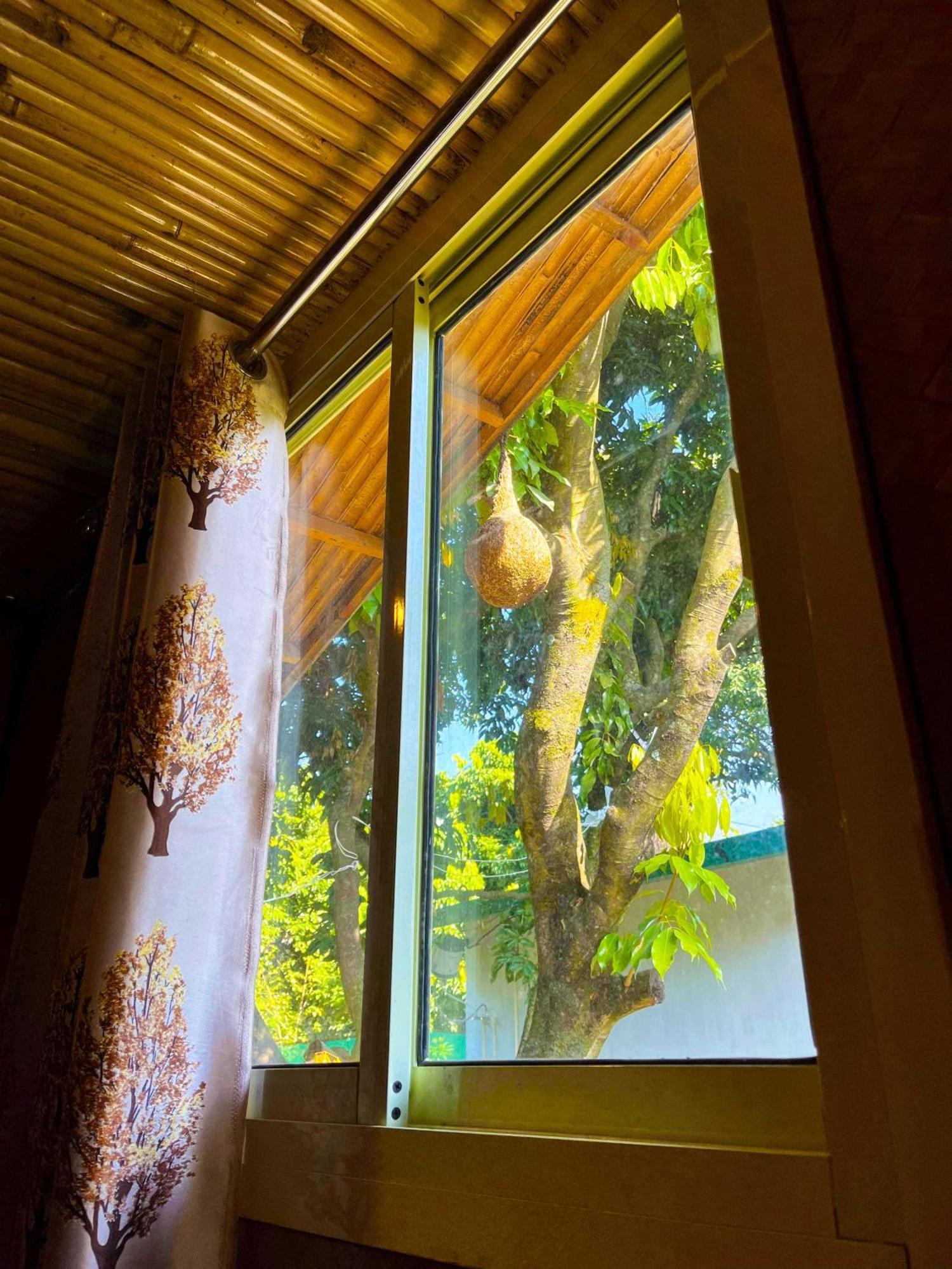 Hotel O Royal Tree Cafe And Resort 데라둔 외부 사진