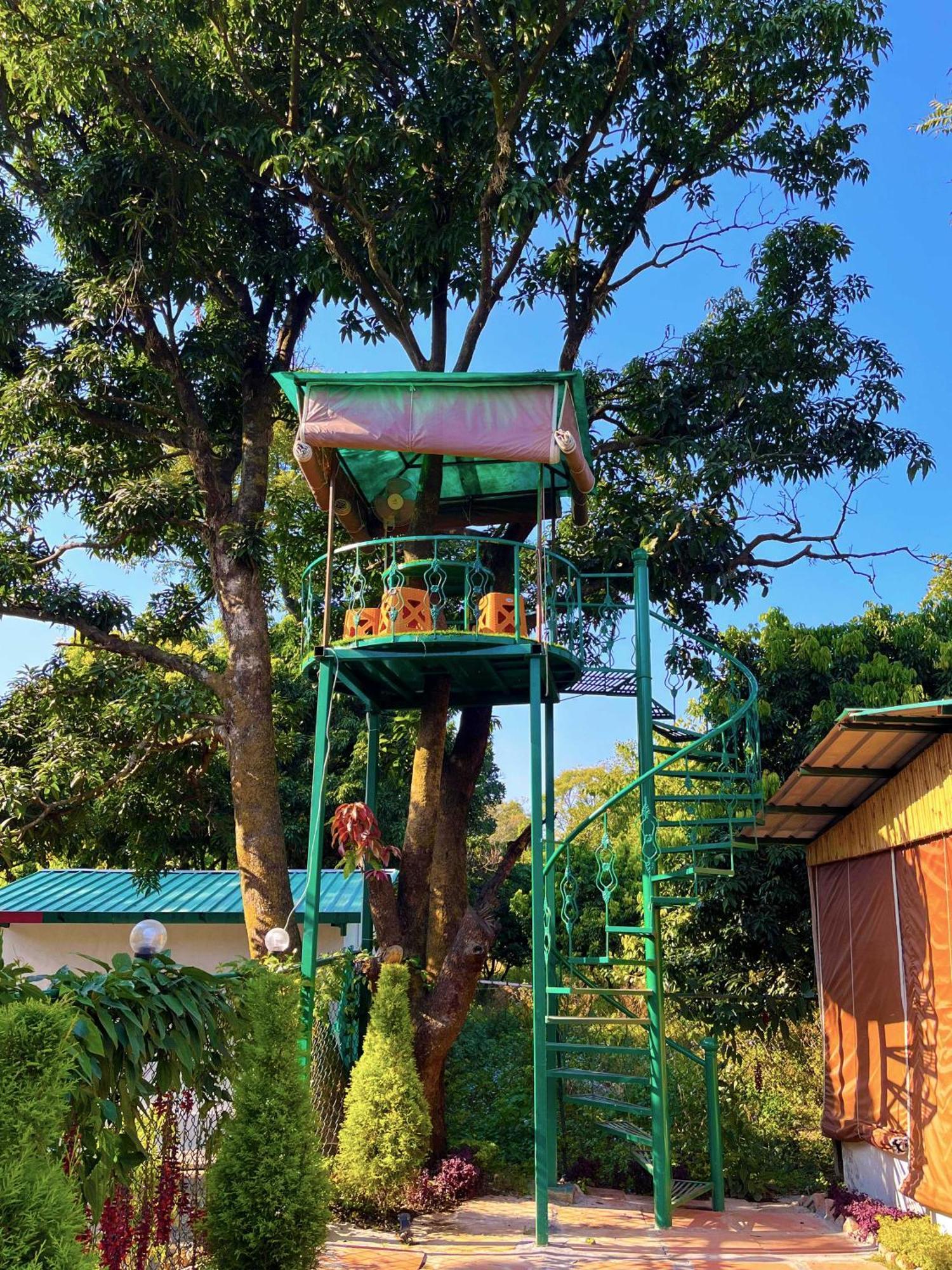 Hotel O Royal Tree Cafe And Resort 데라둔 외부 사진